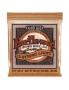 2153 Earthwood Phosphor Bronze Light 9-46