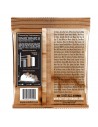 2550 Everlast Coated Phosphor Bronze Extra Light 10-50