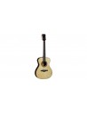 WOW A800E SZ LTD (Spruce/Ziricote)
