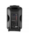 Fenton FT10LED Sistema Portatile con Radiomicrofono e Bluetooth