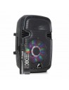Fenton FT8LED Sistema Portatile con Radiomicrofono e Bluetooth