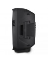 Fenton FT8LED Sistema Portatile con Radiomicrofono e Bluetooth