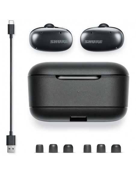 SBE1DYBK1-EFS Écouteurs sans fil à isolation sonore Aonic Free True Wireless Noir