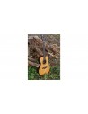WOW A800E CR LTD (cedro/palisandro)