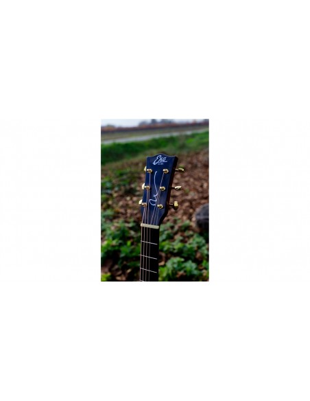 WOW A800E CR LTD (Zeder/Palisander)