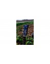 WOW A800E CR LTD (cedro/palisandro)