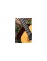 WOW A800E CR LTD (Cedar/Rosewood)