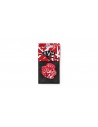 EVH102P050 Punta Tortex EVH de 0,50 mm