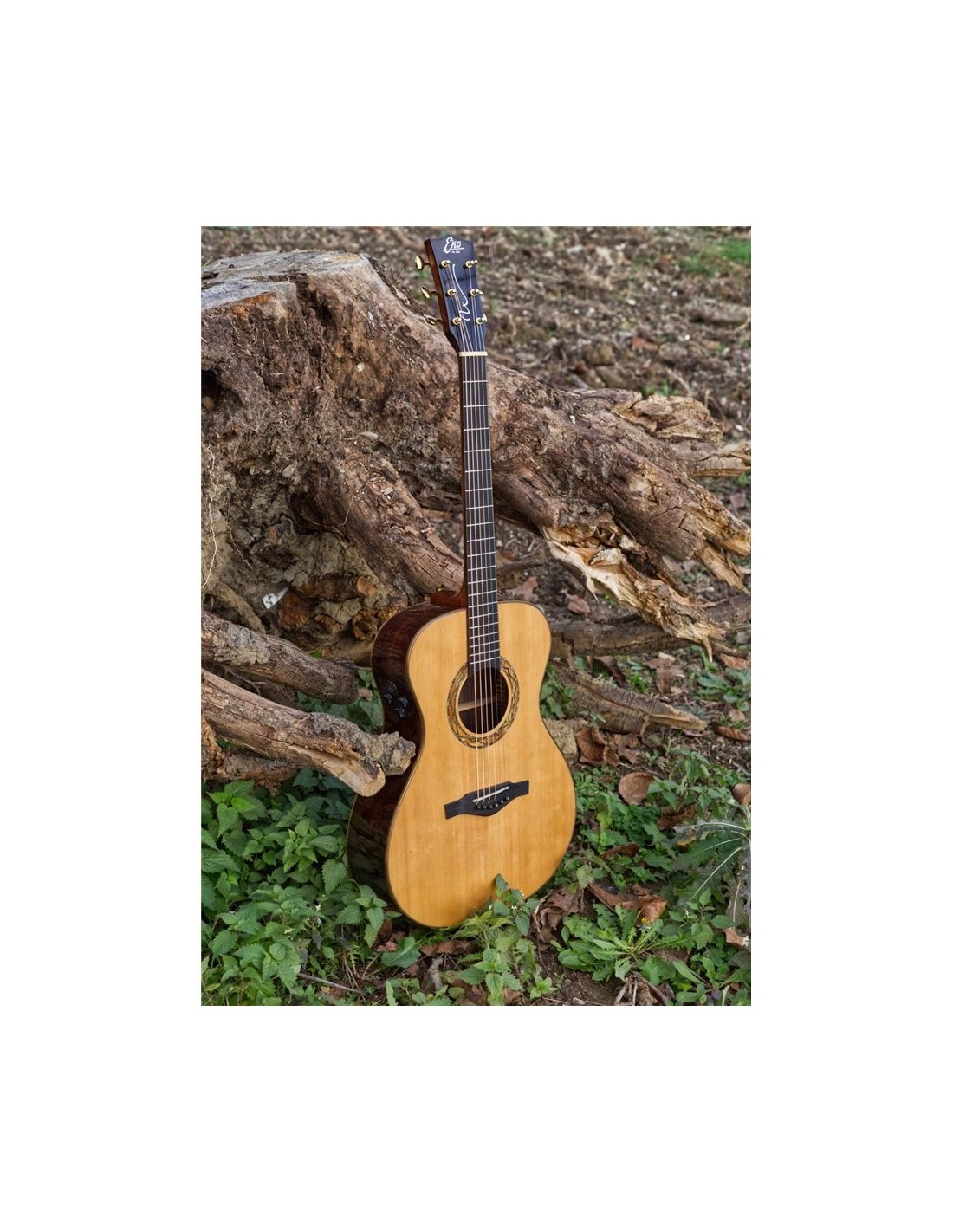 Eko WOW A800E CR LTD Cedar-Rosewood
