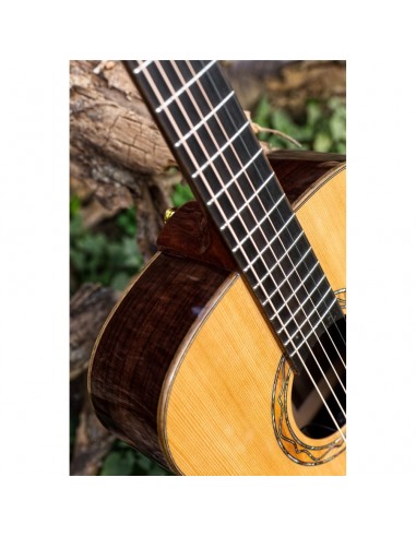 Eko WOW A800E CR LTD Cedar-Rosewood