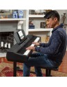 Alesis Prestige