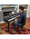 Alesis Prestige