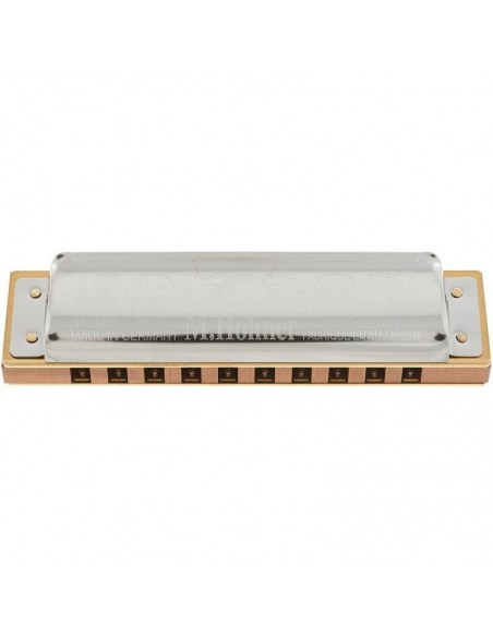 Hohner Marine Band 1896 D Natural Minor