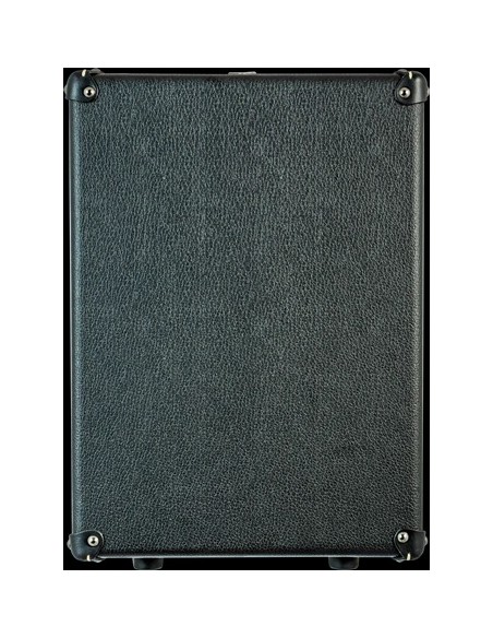 DV MARK GUITAR FRIEND 112 TUBE
