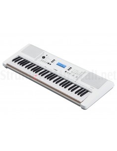 Yamaha EZ300
