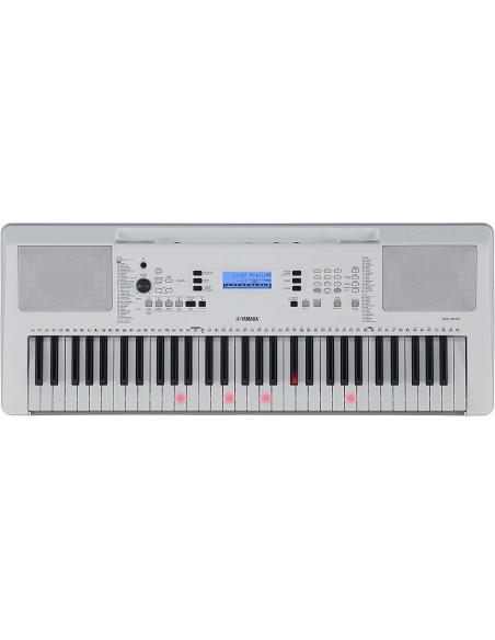 Yamaha EZ300