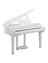 Kurzweil KAG100 WHP 