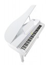 Kurzweil KAG100 WHP 