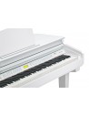 Kurzweil KAG100 WHP 