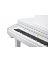 Kurzweil KAG100 WHP 