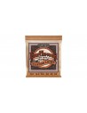 2145 Earthwood Custom Light Phosphore Bronze