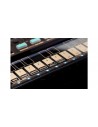VOLCA-FM2