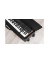 SOFT CASE Size C