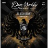 Dean Markley BlackHawk 09-42 Coated Electric