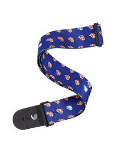 Planet Waves Paisely...