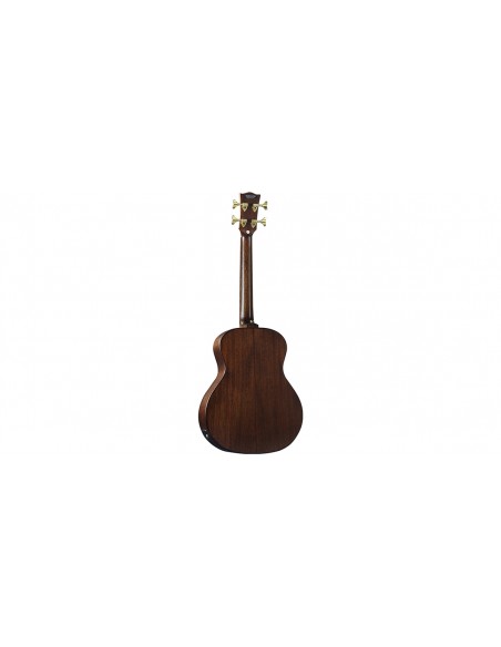 Marco Polo MM BASS