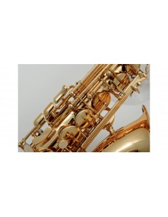 VSM A300 Sax 300 Contralto 2