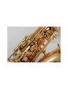 VSM A300 Sax 300 Contralto