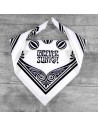 Ernie Ball 4911 Bandana Forever Slinky