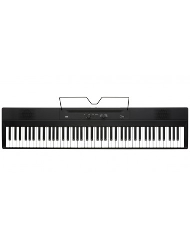 LIANO-Black