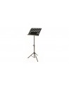 MS/330 W/BAG BB Leggio Orchestra