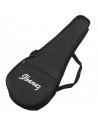 Ibanez UICT10MM UKELELE ELETTRIFICATO CON BORSA