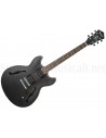 IBANEZ AS53 TKF Transparent Black Flat