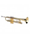 ALYSEE TR 6333 TROMBA SIB LACCATA CON ASTUCCIO