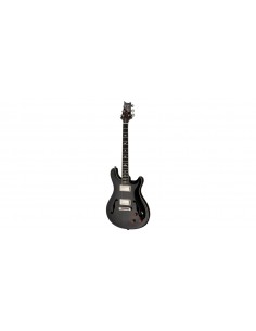 SE Hollowbody Standard... 2