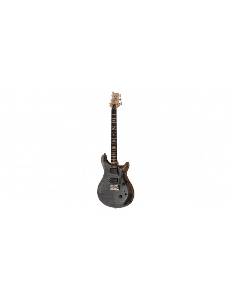 SE Custom 24 Anthracite 2023