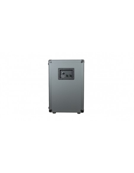 DG210N 2x10