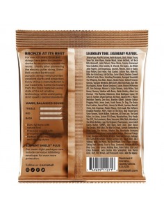 Ernie Ball 3545 Erthwd... 2