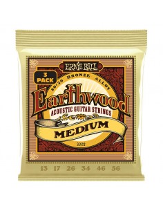 Ernie Ball 3002 Erthwd Med...