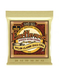 Ernie Ball 3069 Erthwd Folk...