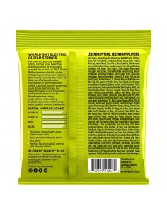 Ernie Ball 3251 Regular... 2