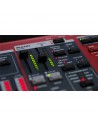 NORD STAGE 4 73 Hammer Action