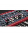 NORD STAGE 4 73 Hammer Action