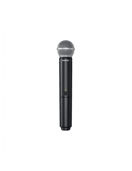 SHURE BLX288E / SM58 M17