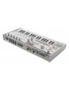 MICROKORG-CR