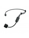 Shure GLXD14+/PGA31